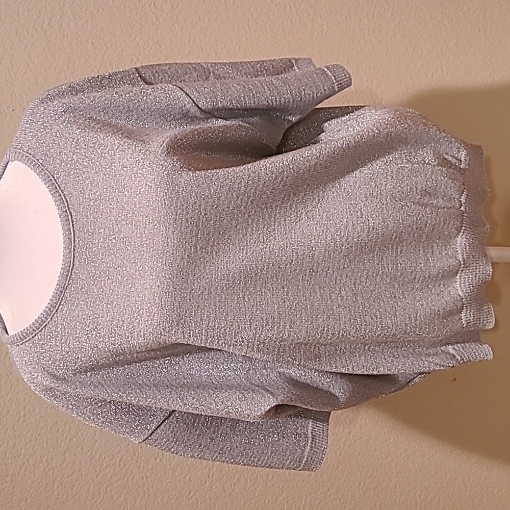 Maggie McNaughton Grey With Silver Sparkle Top Size 2X